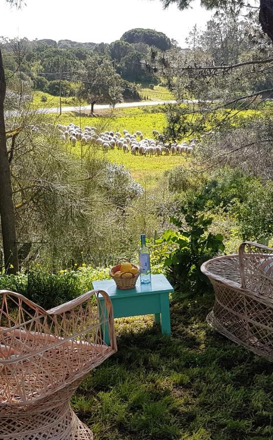 Romance Valdareina, Piscine Chauffee, Benagil-Carvoeiro การ์วอยโร ภายนอก รูปภาพ