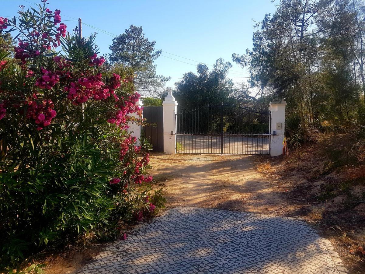 Romance Valdareina, Piscine Chauffee, Benagil-Carvoeiro การ์วอยโร ภายนอก รูปภาพ