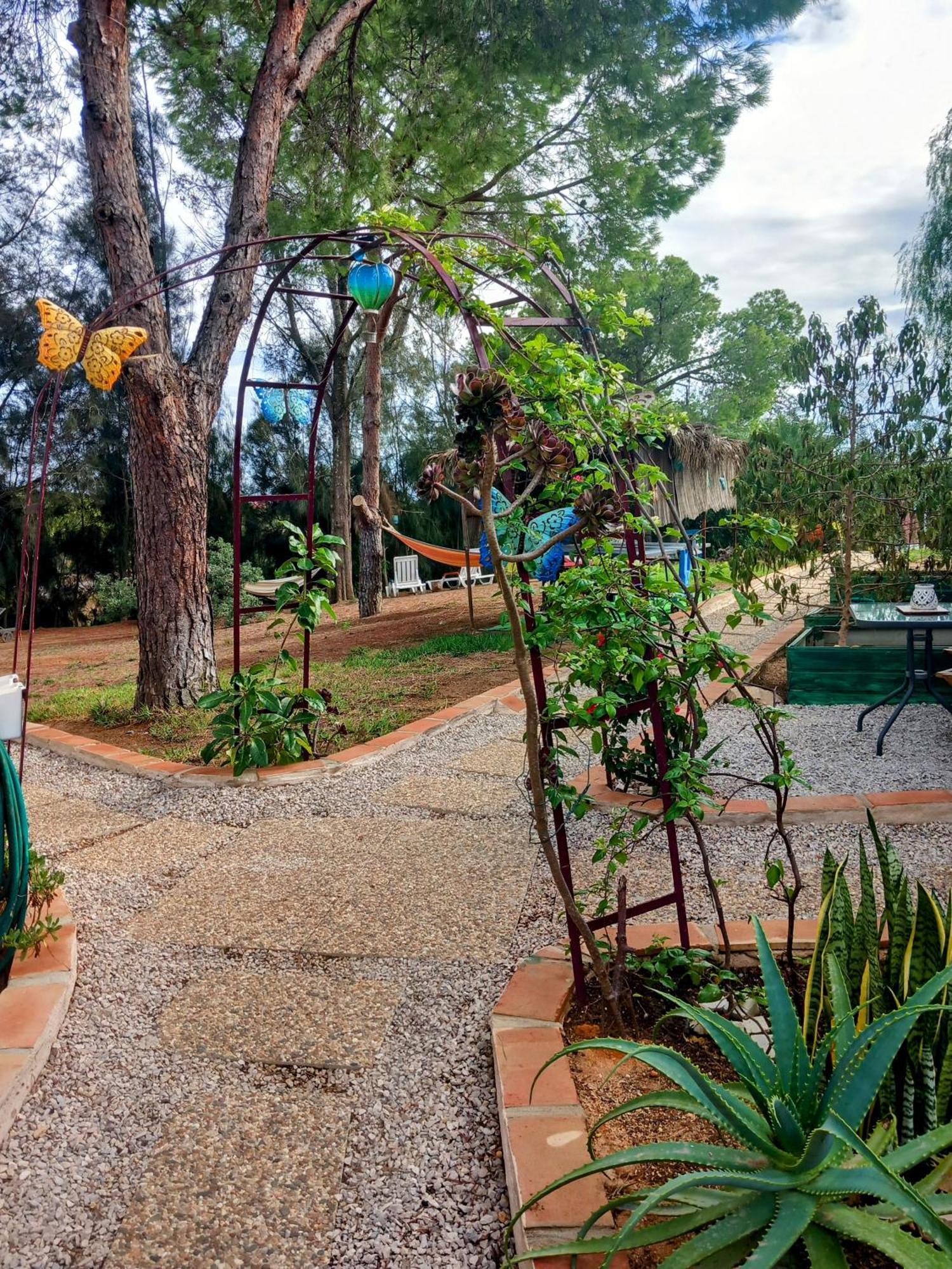 Romance Valdareina, Piscine Chauffee, Benagil-Carvoeiro การ์วอยโร ภายนอก รูปภาพ